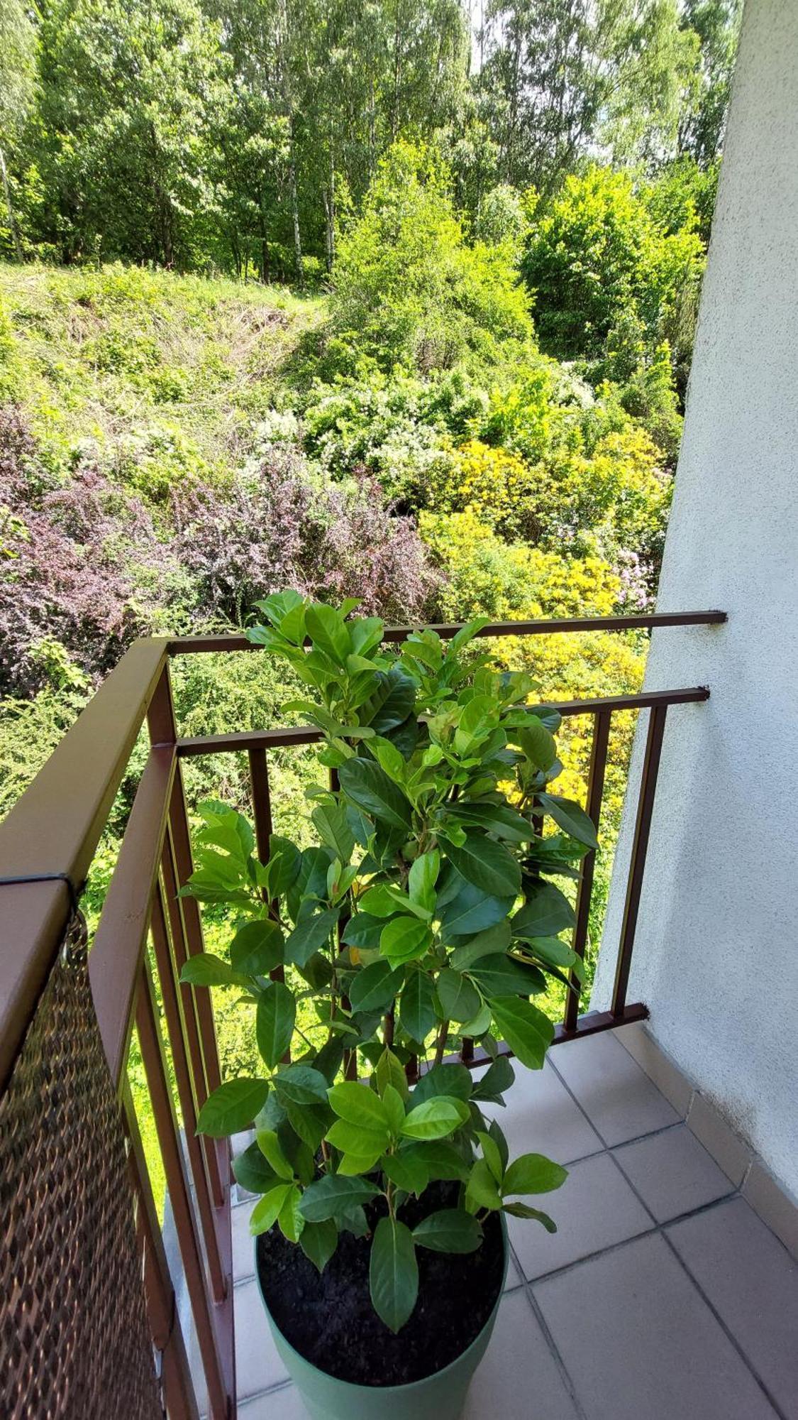 Apartament Miedzygorski Miedzygorze Kültér fotó